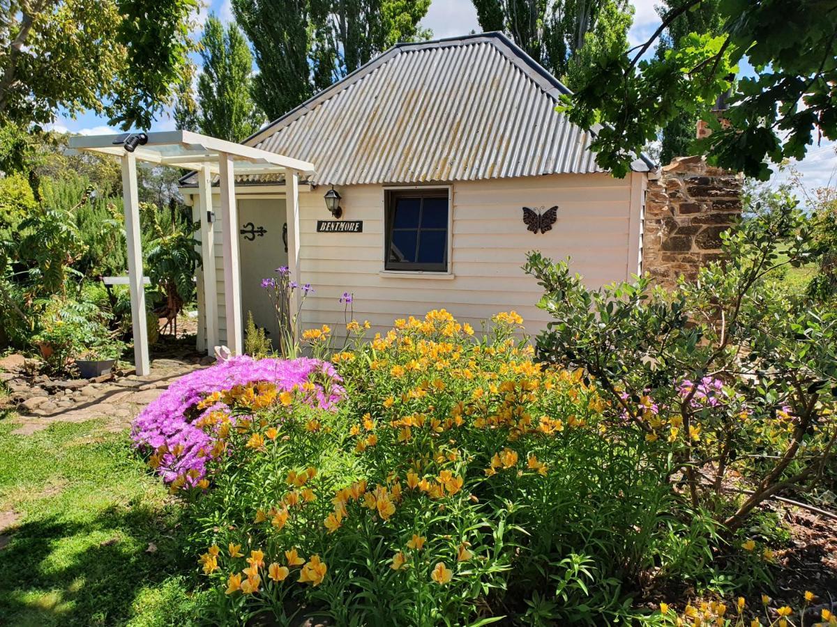 Belmont Homestead Swansea Kültér fotó